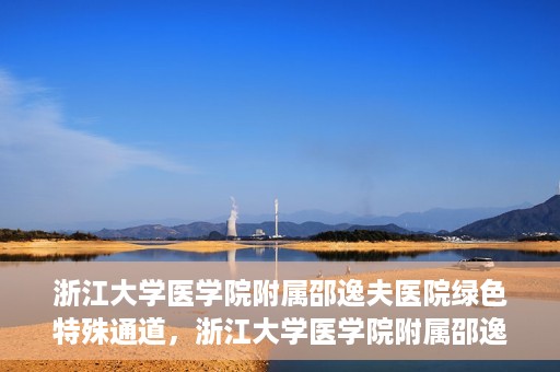 浙江大学医学院附属邵逸夫医院绿色特殊通道，浙江大学医学院附属邵逸夫医院绿色特殊通道，高效医疗服务的创新实践
