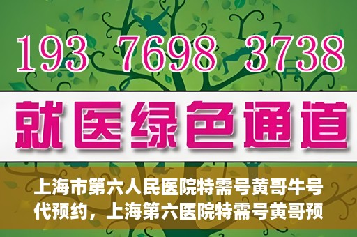上海市第六人民医院特需号黄哥牛号代预约，上海第六医院特需号黄哥预约服务解析，专业代预约，便捷就医新选择