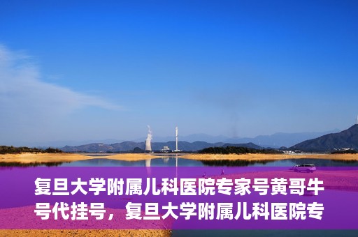 复旦大学附属儿科医院专家号黄哥牛号代挂号，复旦大学附属儿科医院专家号代挂号背后的故事，黄哥牛号的探索与解读
