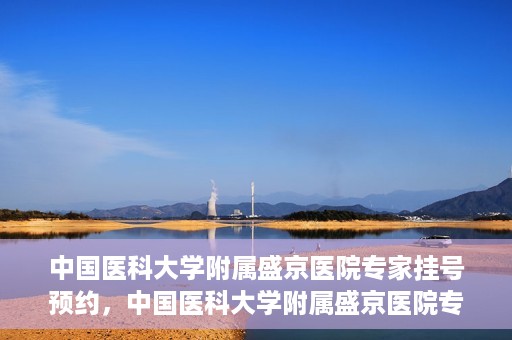 中国医科大学附属盛京医院专家挂号预约，中国医科大学附属盛京医院专家挂号预约攻略，一站式预约服务解析
