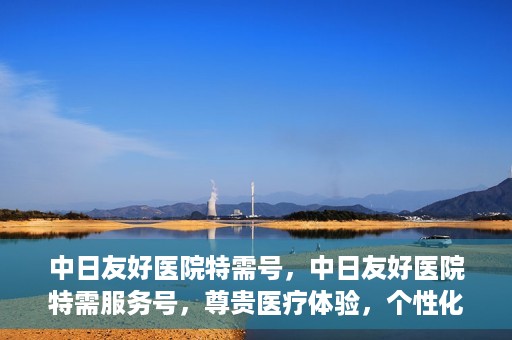 中日友好医院特需号，中日友好医院特需服务号，尊贵医疗体验，个性化健康守护
