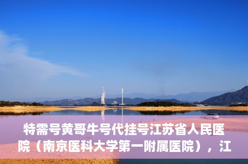 特需号黄哥牛号代挂号江苏省人民医院（南京医科大学第一附属医院），江苏省人民医院特需号黄哥牛号代挂号服务解析