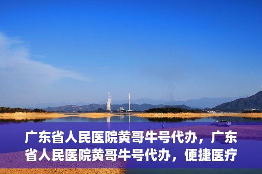 广东省人民医院黄哥牛号代办，广东省人民医院黄哥牛号代办，便捷医疗新途径