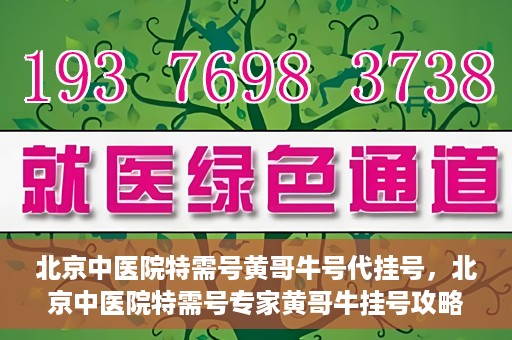 北京中医院特需号黄哥牛号代挂号，北京中医院特需号专家黄哥牛挂号攻略，深度解析代挂号服务