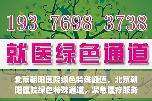 北京朝阳医院绿色特殊通道，北京朝阳医院绿色特殊通道，紧急医疗服务的速度与温情