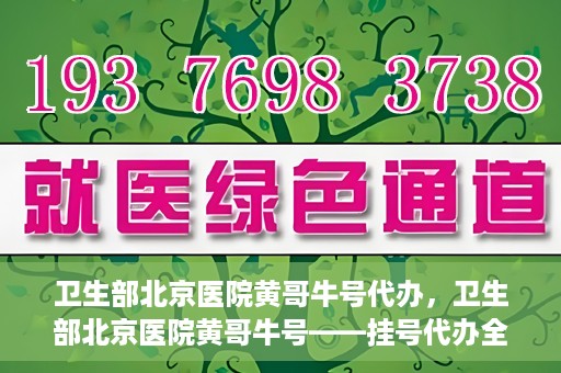 卫生部北京医院黄哥牛号代办，卫生部北京医院黄哥牛号——挂号代办全攻略