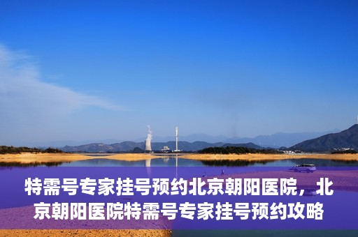 特需号专家挂号预约北京朝阳医院，北京朝阳医院特需号专家挂号预约攻略