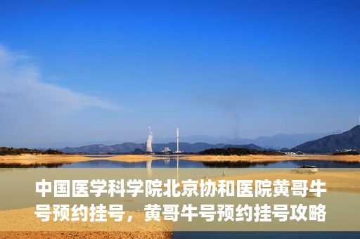 中国医学科学院北京协和医院黄哥牛号预约挂号，黄哥牛号预约挂号攻略，中国医学科学院北京协和医院就医指南