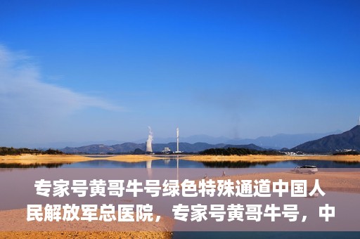 专家号黄哥牛号绿色特殊通道中国人民解放军总医院，专家号黄哥牛号，中国人民解放军总医院绿色特殊通道揭秘