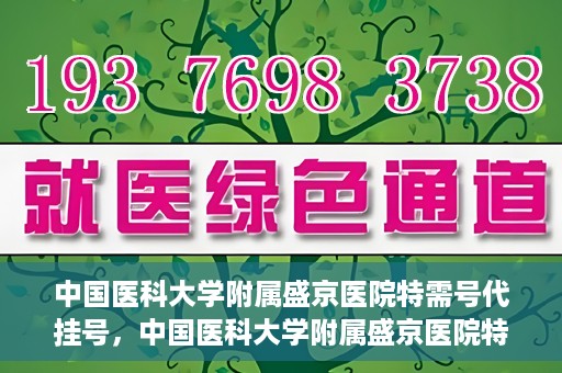 中国医科大学附属盛京医院特需号代挂号，中国医科大学附属盛京医院特需号源代挂号服务解析