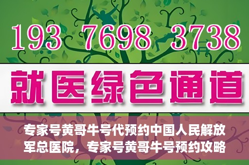 专家号黄哥牛号代预约中国人民解放军总医院，专家号黄哥牛号预约攻略，解放军总医院预约指南