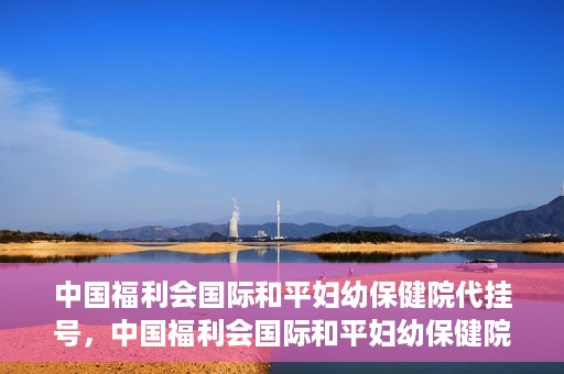 中国福利会国际和平妇幼保健院代挂号，中国福利会国际和平妇幼保健院便捷代挂号服务
