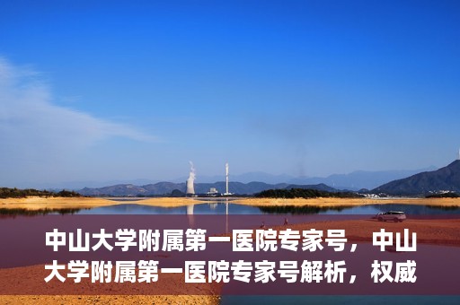 中山大学附属第一医院专家号，中山大学附属第一医院专家号解析，权威医疗团队的专业解读与诊疗之道