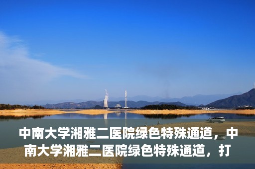 中南大学湘雅二医院绿色特殊通道，中南大学湘雅二医院绿色特殊通道，打造高效医疗服务的先锋典范