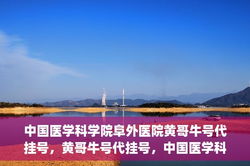 中国医学科学院阜外医院黄哥牛号代挂号，黄哥牛号代挂号，中国医学科学院阜外医院便捷就医新途径