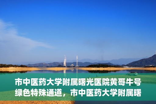 市中医药大学附属曙光医院黄哥牛号绿色特殊通道，市中医药大学附属曙光医院黄哥牛号，绿色特殊通道开启健康之门