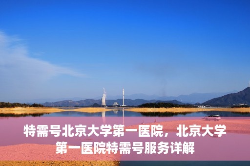 特需号北京大学第一医院，北京大学第一医院特需号服务详解