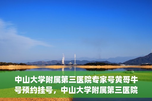 中山大学附属第三医院专家号黄哥牛号预约挂号，中山大学附属第三医院专家黄哥牛号预约挂号攻略