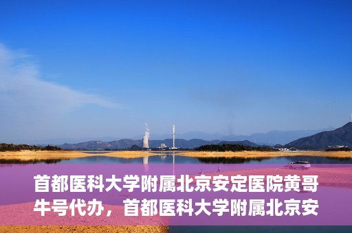 首都医科大学附属北京安定医院黄哥牛号代办，首都医科大学附属北京安定医院，黄哥牛号代办服务解析