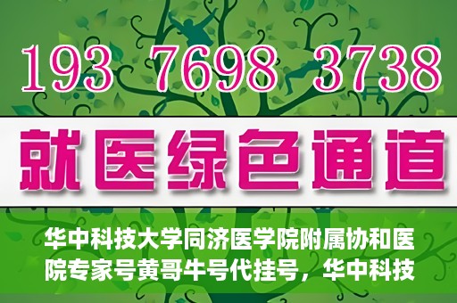 华中科技大学同济医学院附属协和医院专家号黄哥牛号代挂号，华中科技大学同济医学院附属协和医院专家号代挂号揭秘，黄哥牛号背后的故事