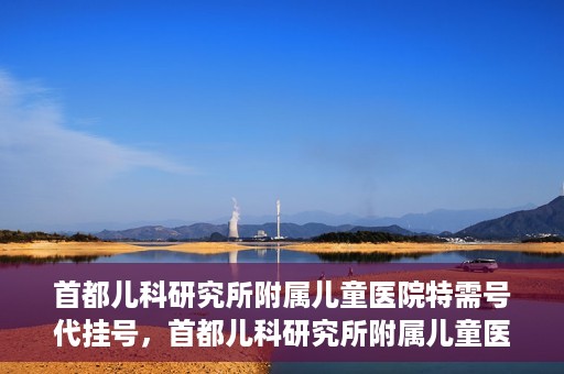 首都儿科研究所附属儿童医院特需号代挂号，首都儿科研究所附属儿童医院特需号源代挂号服务解析