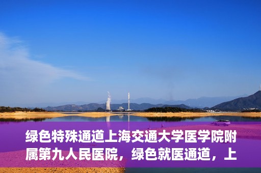 绿色特殊通道上海交通大学医学院附属第九人民医院，绿色就医通道，上海交通大学医学院附属第九人民医院的探索与实践