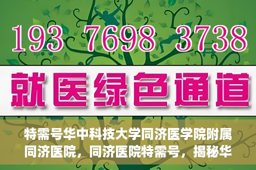 特需号华中科技大学同济医学院附属同济医院，同济医院特需号，揭秘华中科技大学同济医学院附属医院的特色服务与医疗特色
