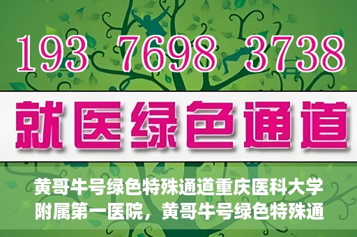 黄哥牛号绿色特殊通道重庆医科大学附属第一医院，黄哥牛号绿色特殊通道，重庆医科大学附属第一医院实践探索