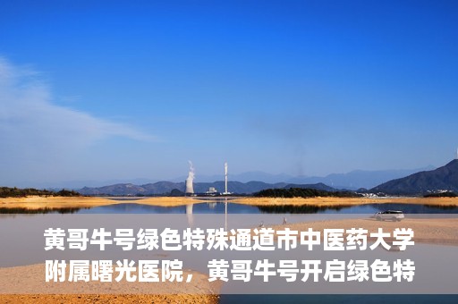 黄哥牛号绿色特殊通道市中医药大学附属曙光医院，黄哥牛号开启绿色特殊通道，市中医药大学附属曙光医院倾力打造健康新篇章