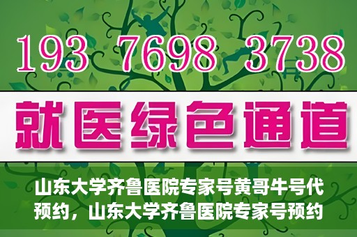 山东大学齐鲁医院专家号黄哥牛号代预约，山东大学齐鲁医院专家号预约服务解析，黄哥牛号代预约详解