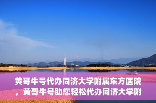 黄哥牛号代办同济大学附属东方医院，黄哥牛号助您轻松代办同济大学附属东方医院事务