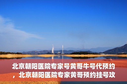 北京朝阳医院专家号黄哥牛号代预约，北京朝阳医院专家黄哥预约挂号攻略，轻松预约专家号