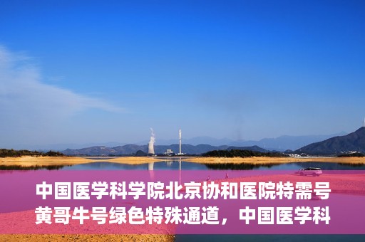 中国医学科学院北京协和医院特需号黄哥牛号绿色特殊通道，中国医学科学院北京协和医院特需号黄哥牛号绿色通道，尊贵体验与医疗优势