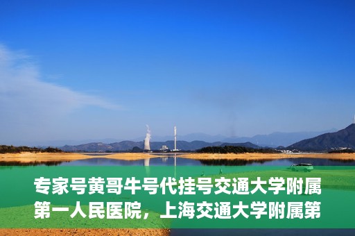 专家号黄哥牛号代挂号交通大学附属第一人民医院，上海交通大学附属第一人民医院专家号黄哥牛号代挂号服务解析
