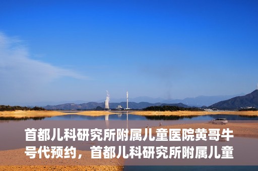 首都儿科研究所附属儿童医院黄哥牛号代预约，首都儿科研究所附属儿童医院黄哥预约服务详解