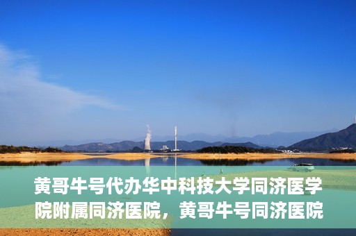 黄哥牛号代办华中科技大学同济医学院附属同济医院，黄哥牛号同济医院代办服务，专业助力就医无忧！