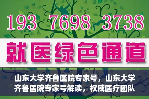 山东大学齐鲁医院专家号，山东大学齐鲁医院专家号解读，权威医疗团队的专业解读与诊疗之道