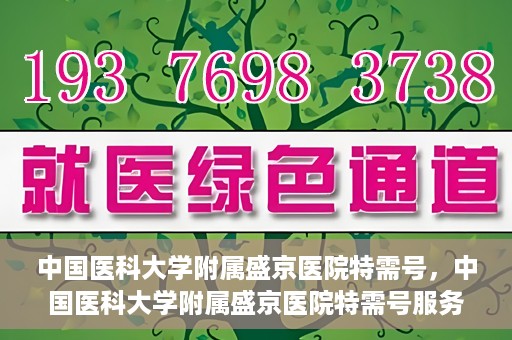 中国医科大学附属盛京医院特需号，中国医科大学附属盛京医院特需号服务详解