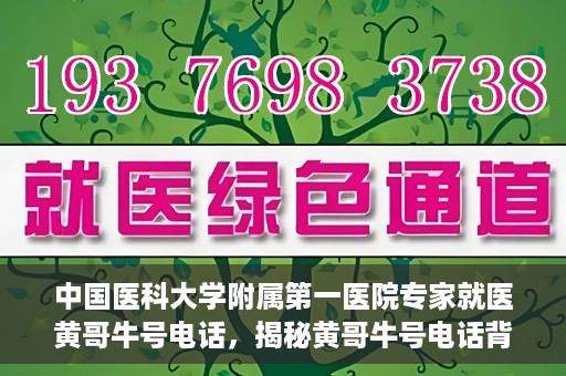 中国医科大学附属第一医院专家就医黄哥牛号电话，揭秘黄哥牛号电话背后的故事，中国医科大学附属第一医院专家就医之路