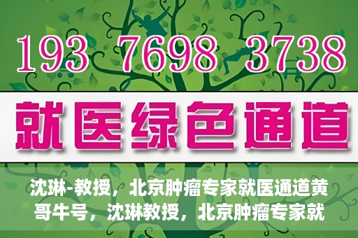 沈琳-教授，北京肿瘤专家就医通道黄哥牛号，沈琳教授，北京肿瘤专家就医通道揭秘——黄哥牛号领航健康之路