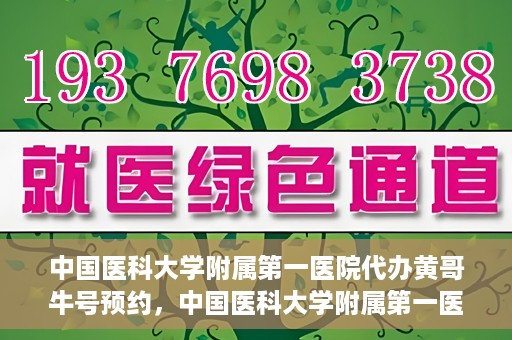 中国医科大学附属第一医院代办黄哥牛号预约，中国医科大学附属第一医院预约挂号代办服务解析——黄哥牛号预约揭秘
