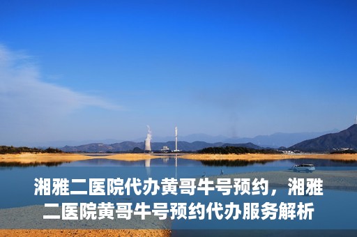 湘雅二医院代办黄哥牛号预约，湘雅二医院黄哥牛号预约代办服务解析