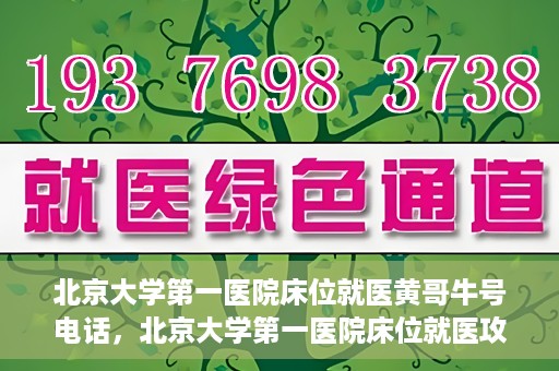北京大学第一医院床位就医黄哥牛号电话，北京大学第一医院床位就医攻略，黄哥牛号电话全解析