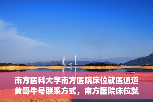南方医科大学南方医院床位就医通道黄哥牛号联系方式，南方医院床位就医通道详解，黄哥牛号联系方式及就医指南