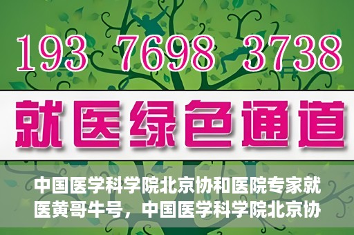 中国医学科学院北京协和医院专家就医黄哥牛号，中国医学科学院北京协和医院专家就医攻略，黄哥牛号解析