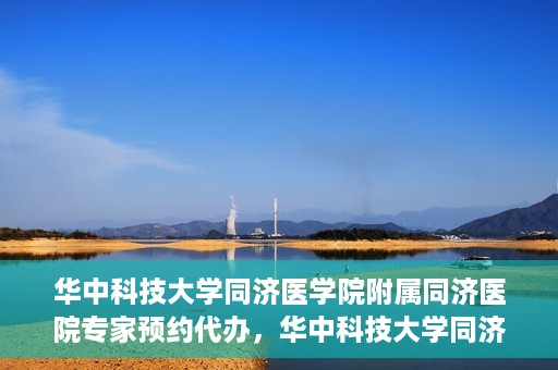 华中科技大学同济医学院附属同济医院专家预约代办，华中科技大学同济医院专家预约代办服务详解