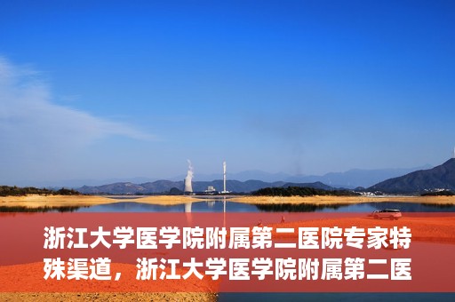 浙江大学医学院附属第二医院专家特殊渠道，浙江大学医学院附属第二医院专家特殊渠道揭秘，权威医疗资源的独特通道探索