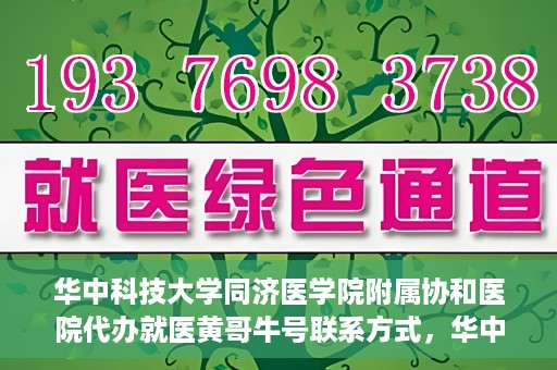 华中科技大学同济医学院附属协和医院代办就医黄哥牛号联系方式，华中科技大学同济医学院附属协和医院就医黄哥牛号联系方式揭秘