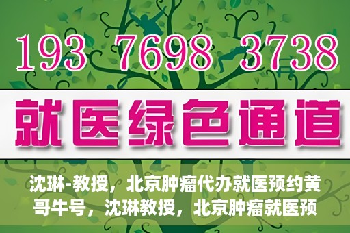 沈琳-教授，北京肿瘤代办就医预约黄哥牛号，沈琳教授，北京肿瘤就医预约背后的故事——黄哥牛号揭秘