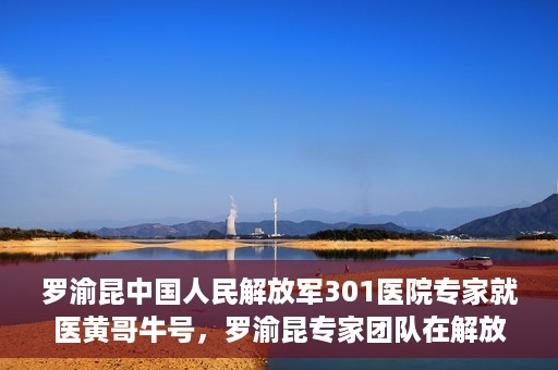 罗渝昆中国人民解放军301医院专家就医黄哥牛号，罗渝昆专家团队在解放军301医院为患者黄哥牛号解忧就医之路